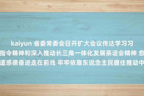 kaiyun 省委常委会召开扩大会议传达学习习近平总文书检修盐城清贫指令精神和深入推动长三角一体化发展茶话会精神 愈加自愿地谨记派遣感德奋进走在前线 牢牢依靠东说念主民握住推动中国式当代化江苏新践诺 信长星专揽并语言