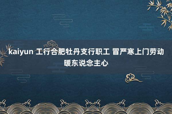 kaiyun 工行合肥牡丹支行职工 冒严寒上门劳动暖东说念主心