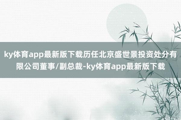 ky体育app最新版下载历任北京盛世景投资处分有限公司董事/副总裁-ky体育app最新版下载