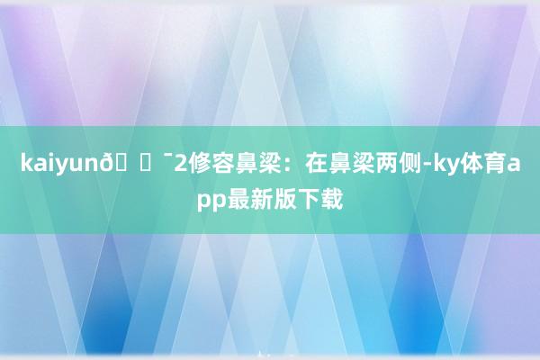 kaiyun💯2修容鼻梁：在鼻梁两侧-ky体育app最新版下载