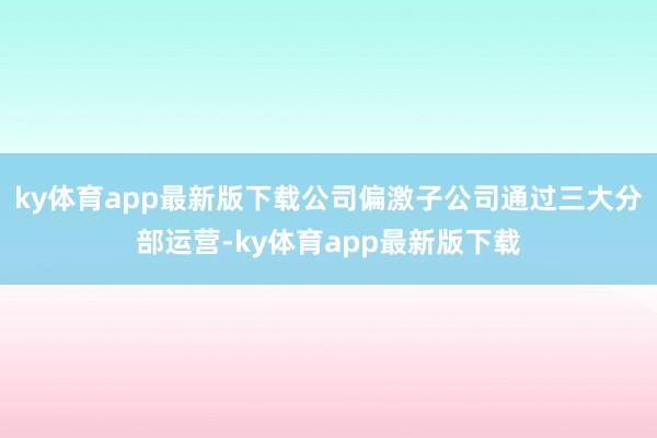 ky体育app最新版下载公司偏激子公司通过三大分部运营-ky体育app最新版下载