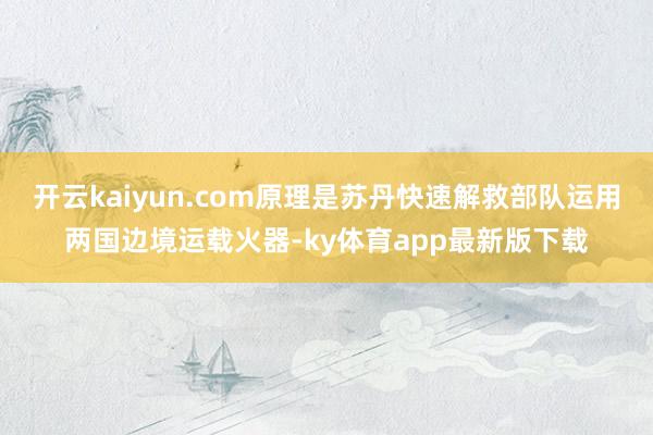 开云kaiyun.com原理是苏丹快速解救部队运用两国边境运载火器-ky体育app最新版下载